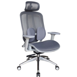 Ghế công thái học